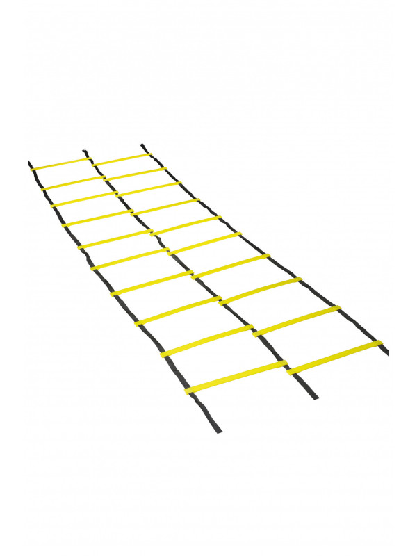 Double Agility ladder