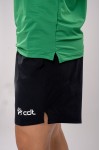 Polo NCW