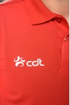Polo NCW