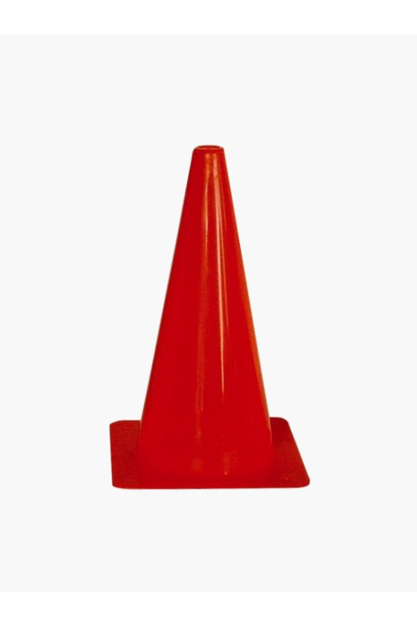 Training cone